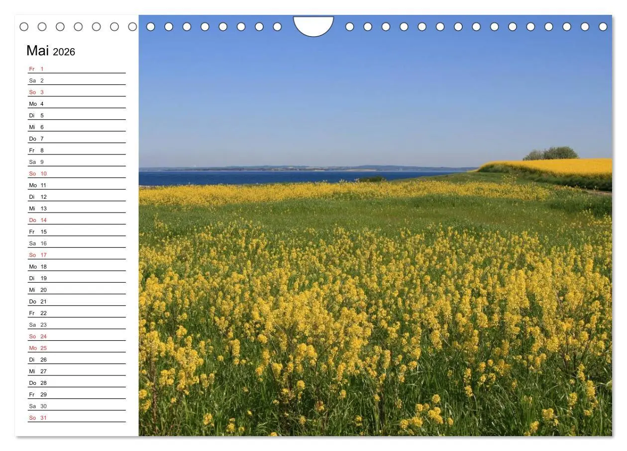Bild: 9783457985793 | Insel Ærø - Perle der Dänischen Südsee (Wandkalender 2026 DIN A4...