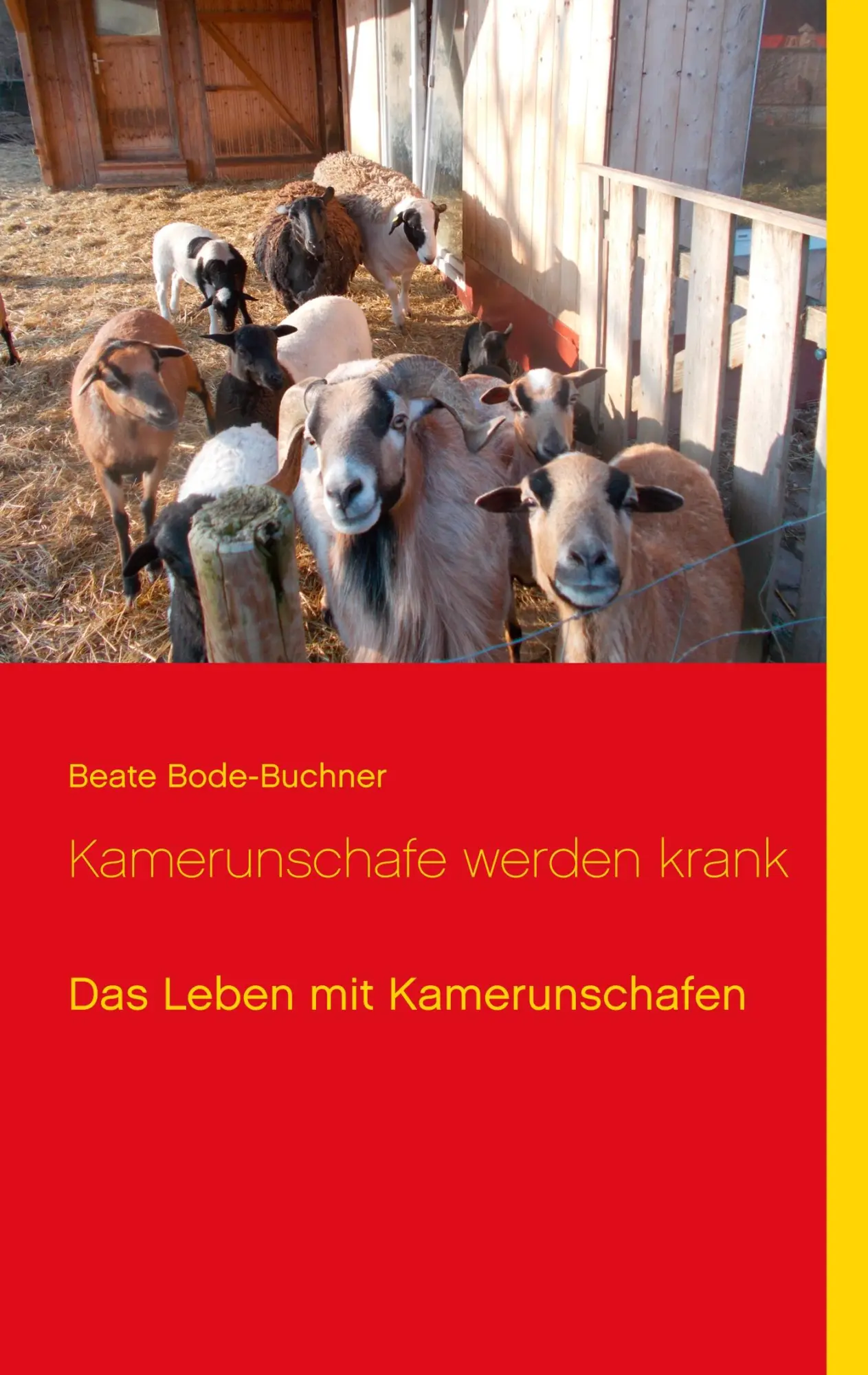 Cover: 9783752835793 | Kamerunschafe werden krank | Beate Bode-Buchner | Taschenbuch | 68 S.