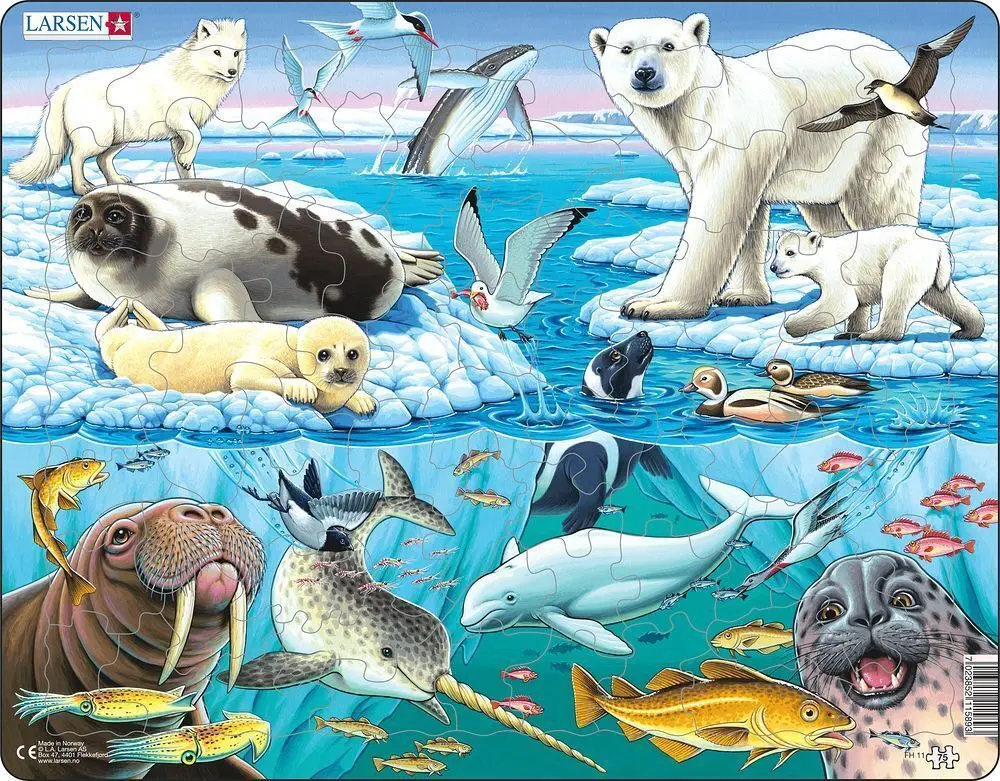 Cover: 7023852115893 | Puzzle - Tiere der Arktis | Spiel | FH11 | 2024 | Larsen