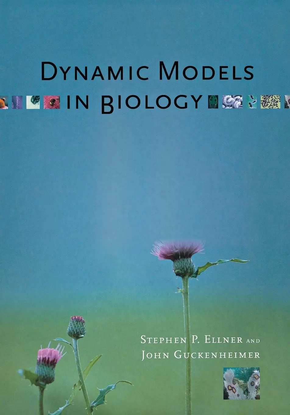 Cover: 9780691125893 | Dynamic Models in Biology | Stephen P. Ellner (u. a.) | Taschenbuch