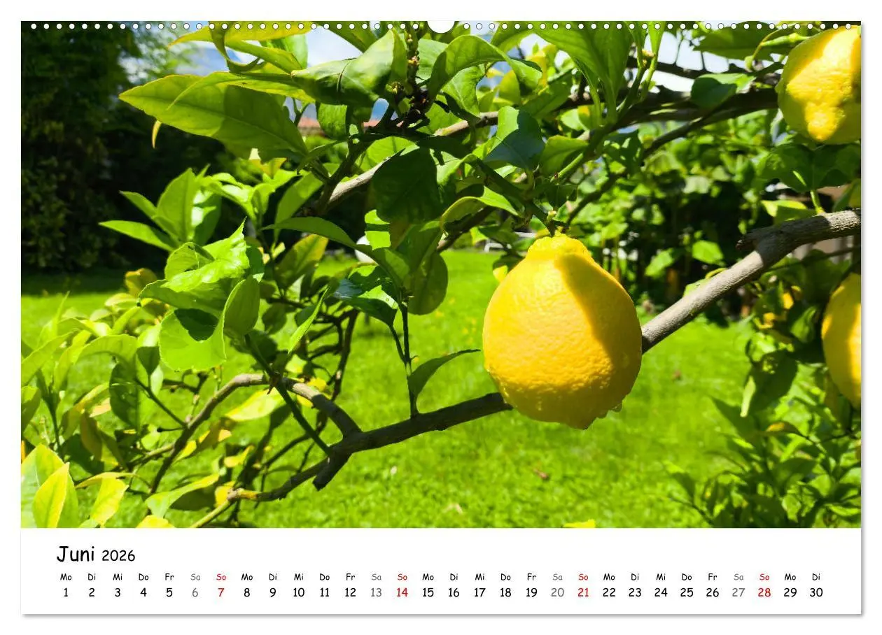 Bild: 9783457355893 | Limone sul Garda - Die Heimat der Zitrone am Gardasee (Wandkalender...