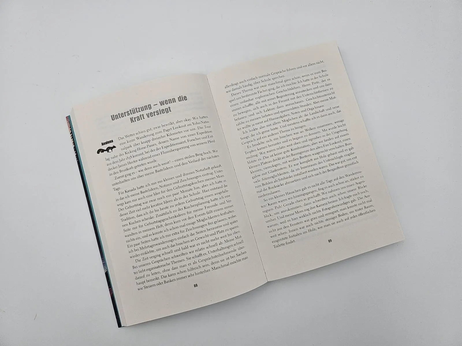 Bild: 9783890295893 | Zwei Sommer in den Rockies | Verena Schmidt (u. a.) | Taschenbuch