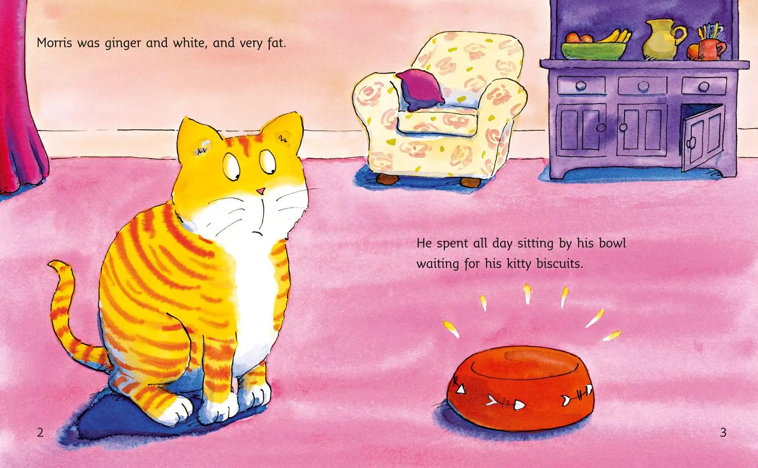 Bild: 9780007185993 | Morris Plays Hide and Seek | Band 06/Orange | Vivian French | Buch