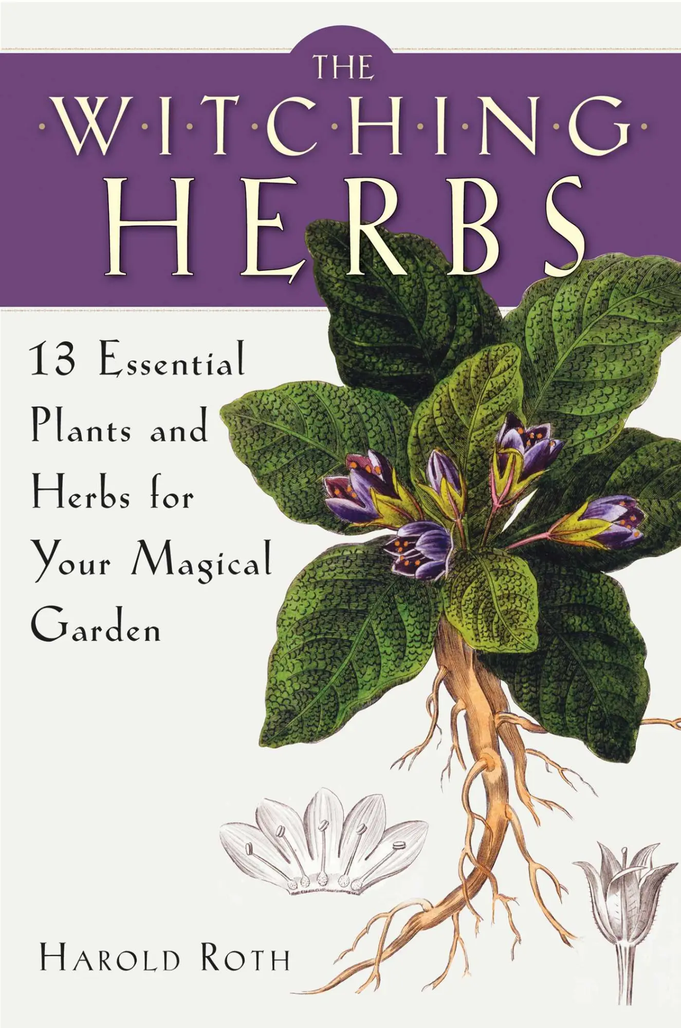 Cover: 9781578635993 | The Witching Herbs | Harold Roth | Taschenbuch | Englisch | 2017
