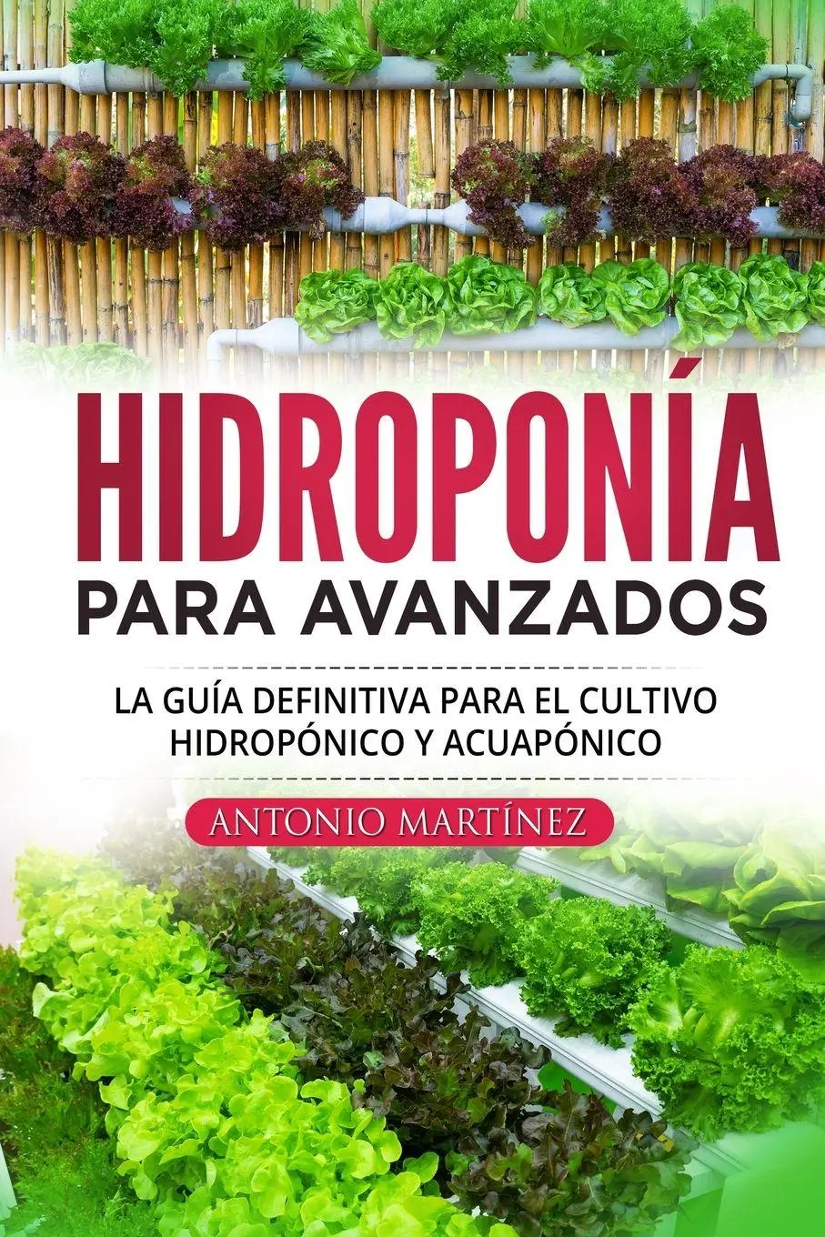 Cover: 9781804345993 | Hidroponía para avanzados | Antonio Martínez | Taschenbuch | Spanisch