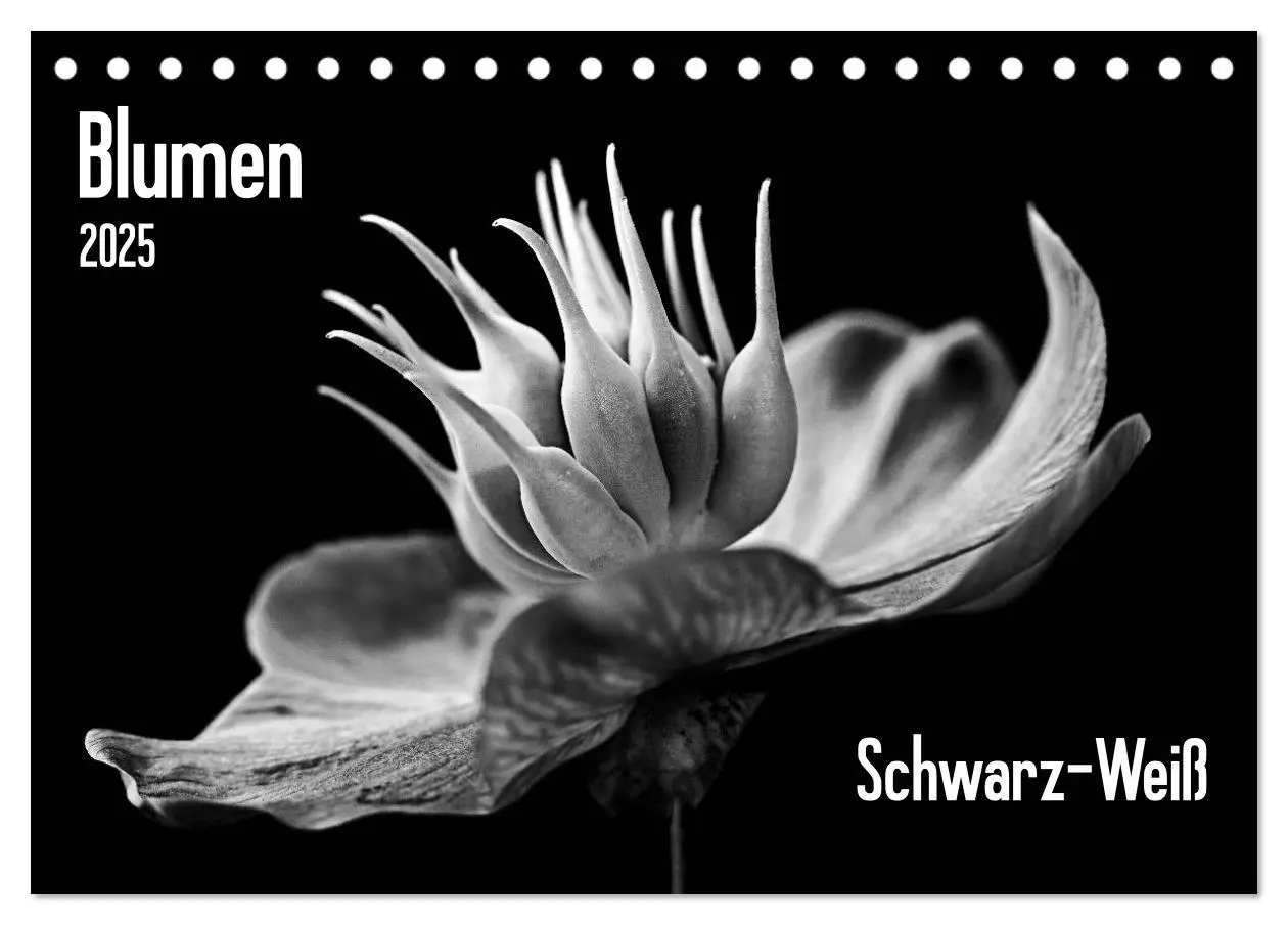 Cover: 9783435635993 | Blumen 2025, Schwarz-Weiß (Tischkalender 2025 DIN A5 quer),...