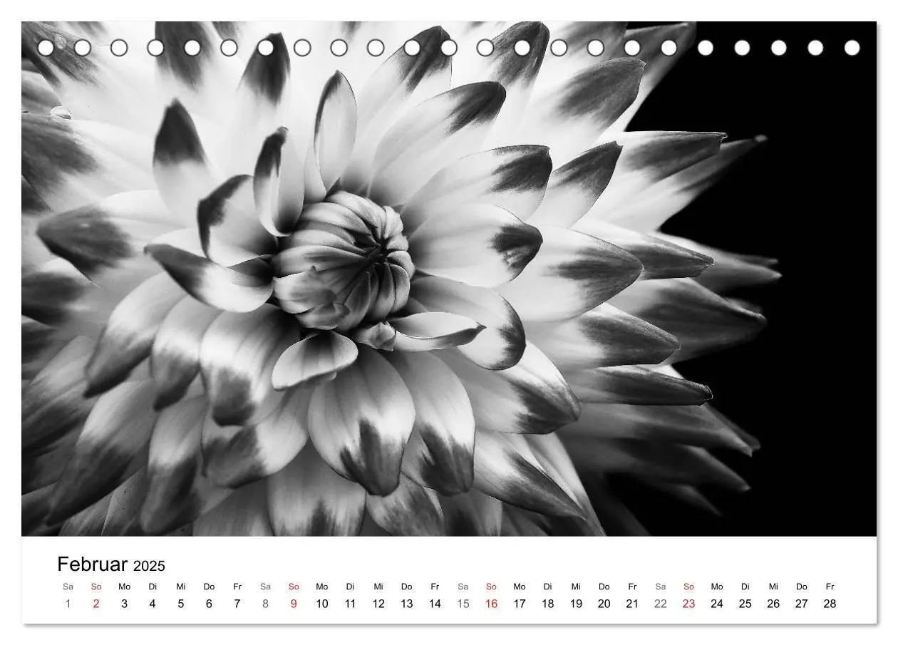 Bild: 9783435635993 | Blumen 2025, Schwarz-Weiß (Tischkalender 2025 DIN A5 quer),...