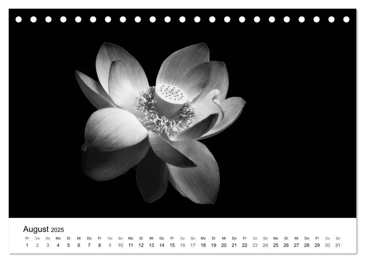Bild: 9783435635993 | Blumen 2025, Schwarz-Weiß (Tischkalender 2025 DIN A5 quer),...