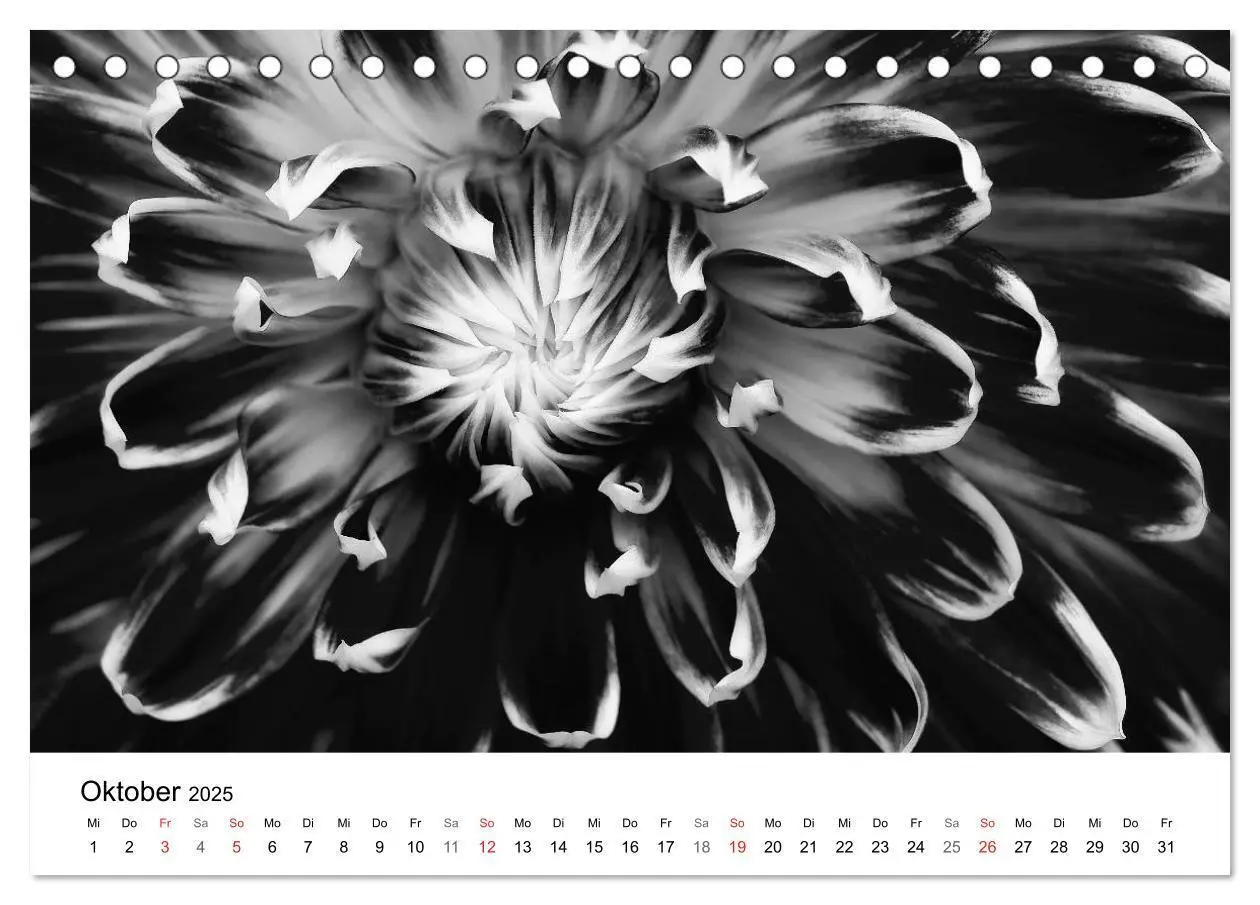 Bild: 9783435635993 | Blumen 2025, Schwarz-Weiß (Tischkalender 2025 DIN A5 quer),...