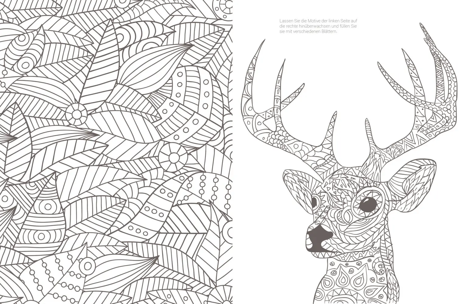 Bild: 9783863555993 | Inspiration Waldtiere | Edition Michael Fischer | Taschenbuch | 64 S.