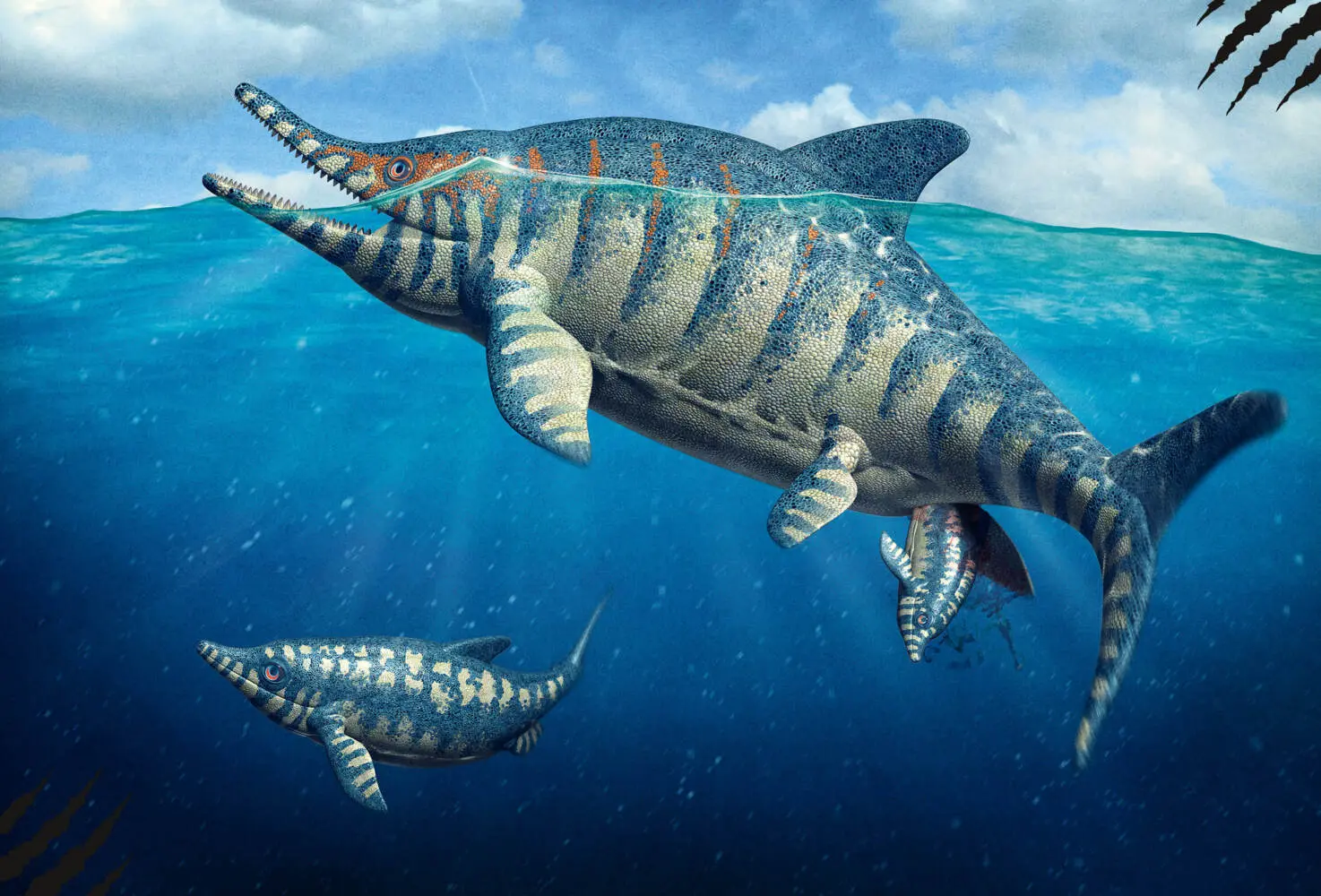 Bild: 9788863125993 | Wasserreptilien des Dinosaurierzeitalters | Giuseppe Brillante | Buch