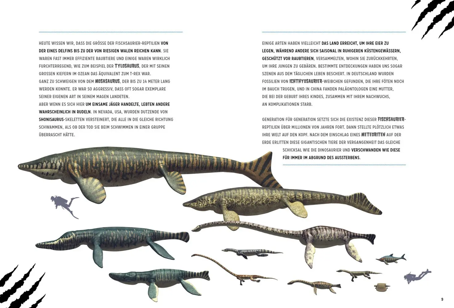 Bild: 9788863125993 | Wasserreptilien des Dinosaurierzeitalters | Giuseppe Brillante | Buch
