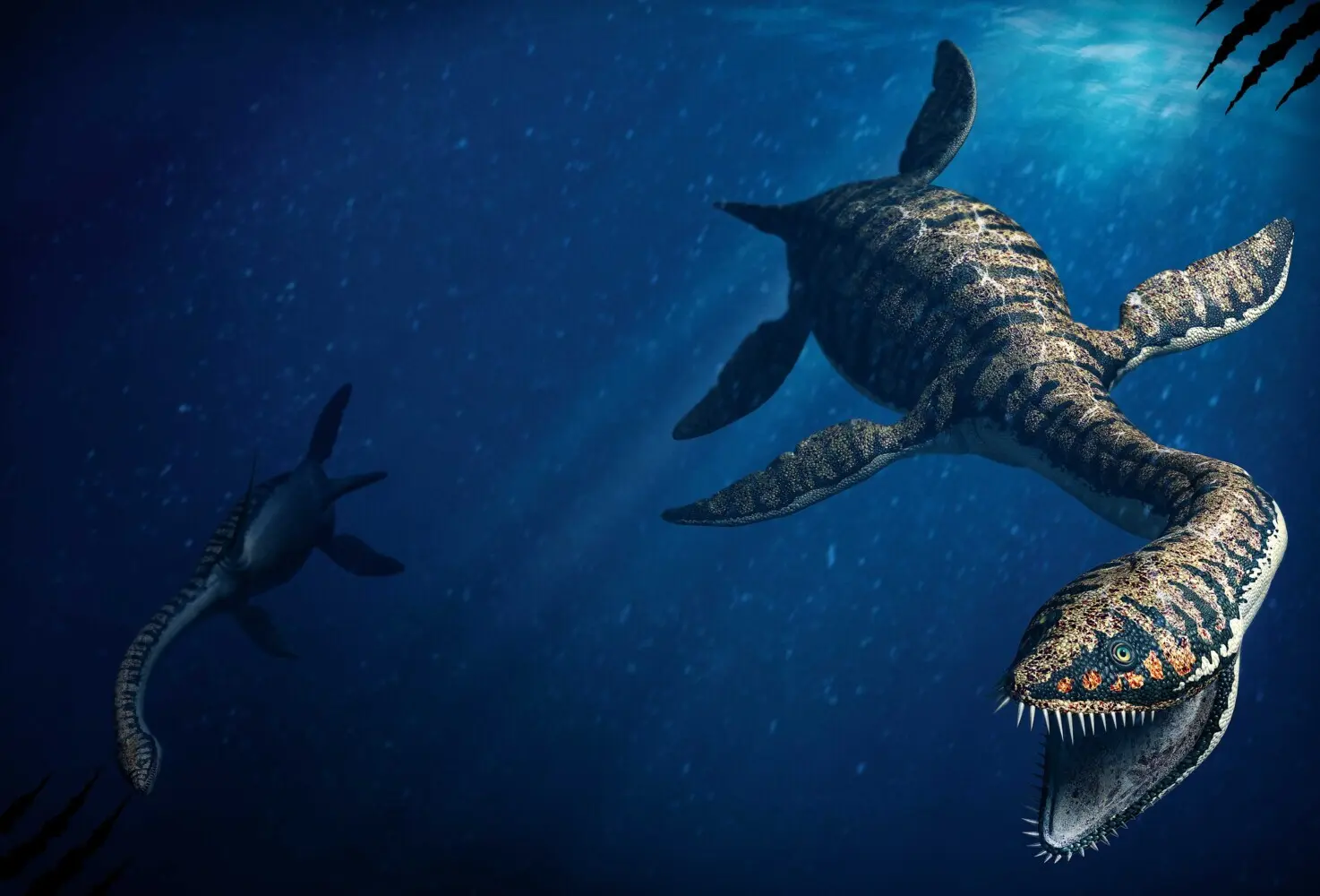 Bild: 9788863125993 | Wasserreptilien des Dinosaurierzeitalters | Giuseppe Brillante | Buch