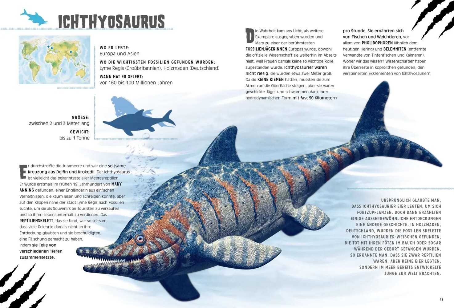 Bild: 9788863125993 | Wasserreptilien des Dinosaurierzeitalters | Giuseppe Brillante | Buch
