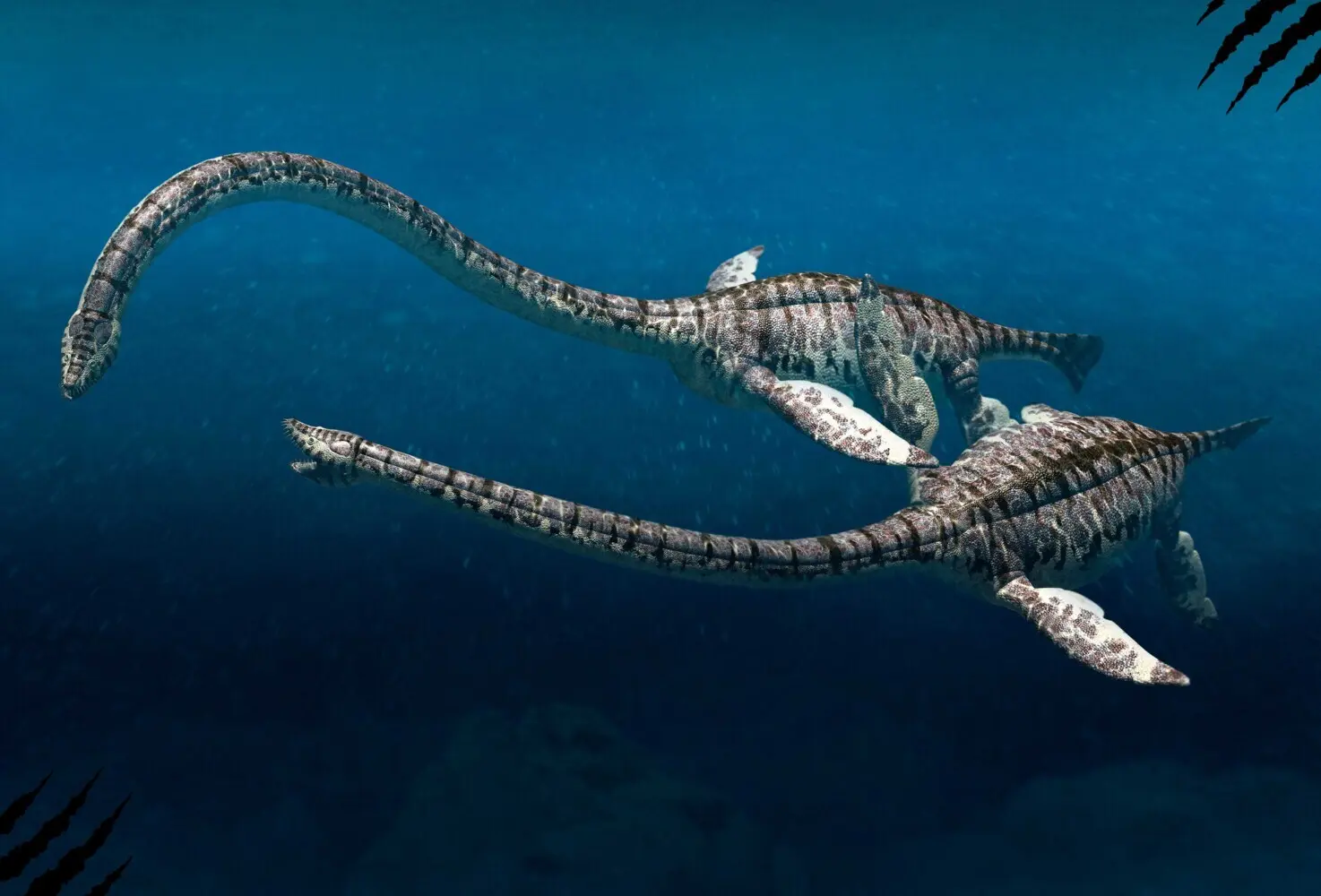 Bild: 9788863125993 | Wasserreptilien des Dinosaurierzeitalters | Giuseppe Brillante | Buch