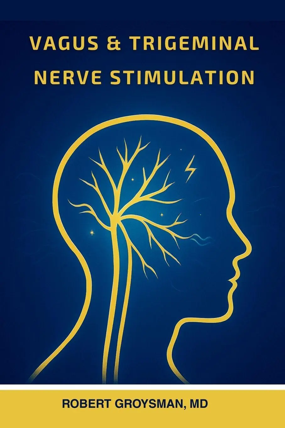 Cover: 9781968686093 | Vagus &amp; Trigeminal Nerve Stimulation | Robert Groysman | Taschenbuch