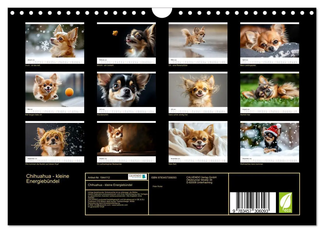 Bild: 9783457306093 | Chihuahua - kleine Energiebündel (Wandkalender 2026 DIN A4 quer),...