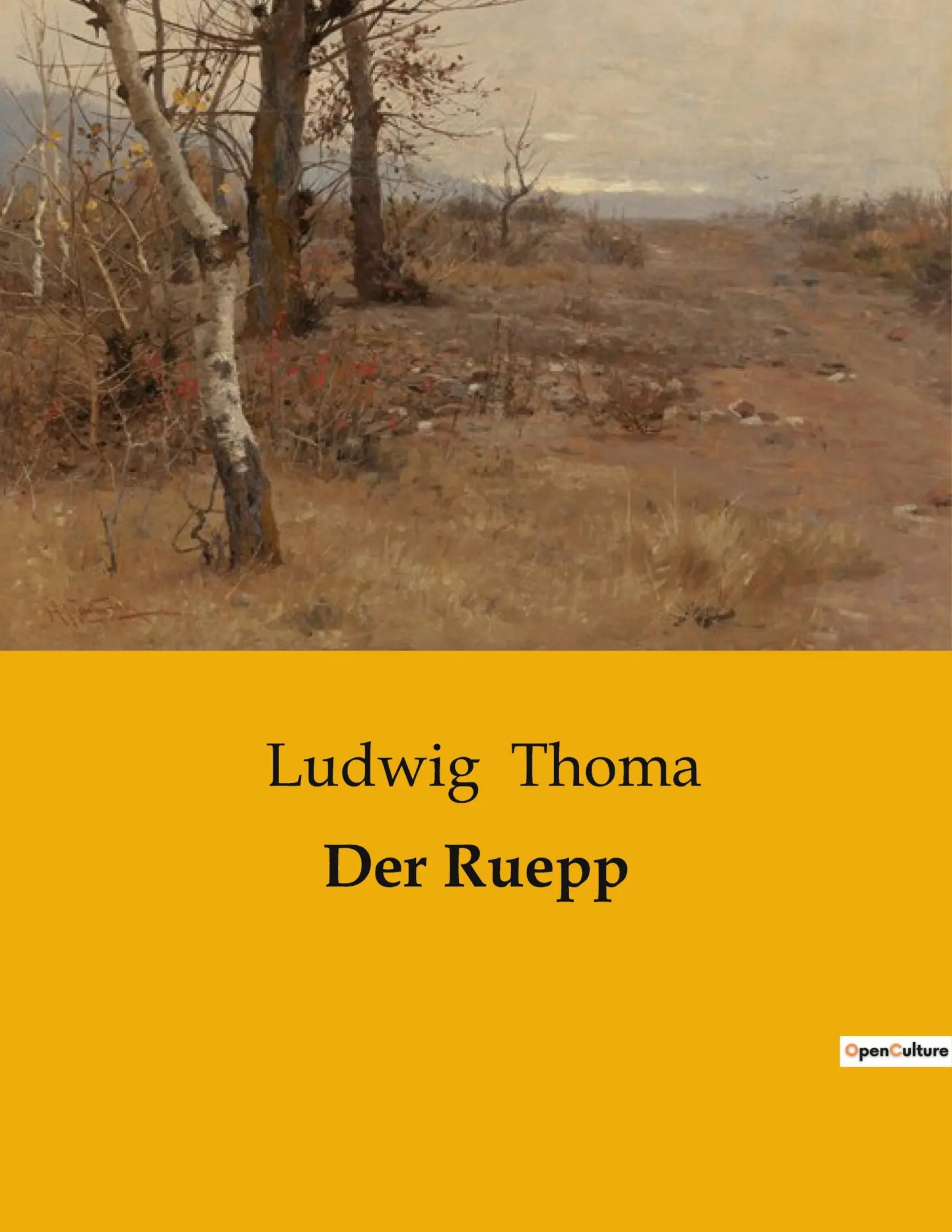 Cover: 9791041906093 | Der Ruepp | Ludwig Thoma | Taschenbuch | 210 S. | Deutsch | 2023