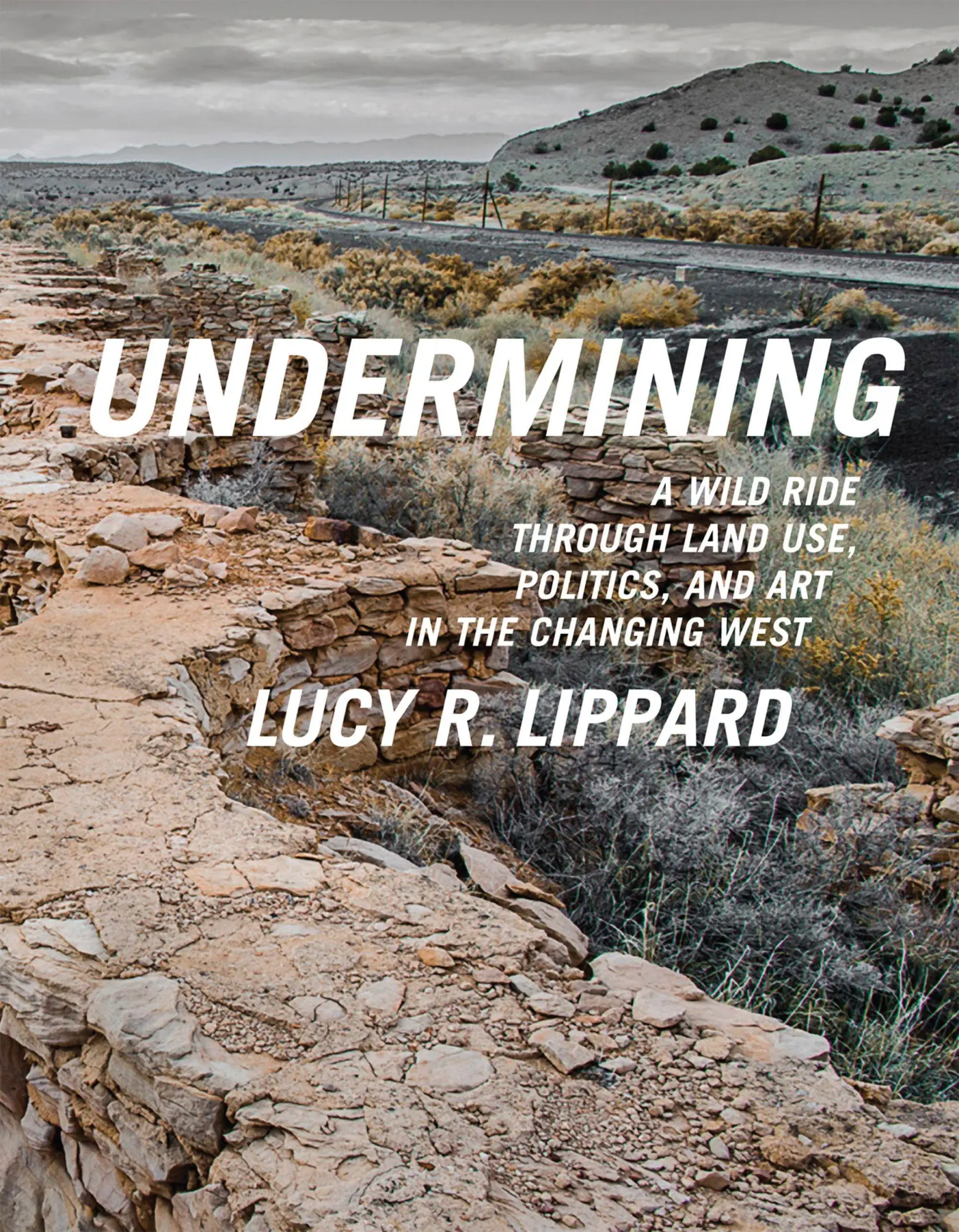 Cover: 9781595586193 | Undermining | Lucy R Lippard | Taschenbuch | Kartoniert / Broschiert