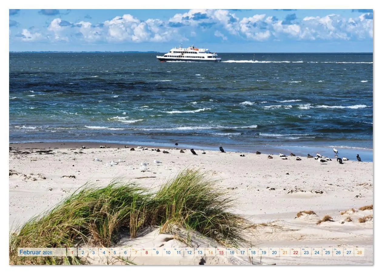 Bild: 9783516626193 | Amrum Glücksort (Tischkalender 2026 DIN A5 quer), CALVENDO...