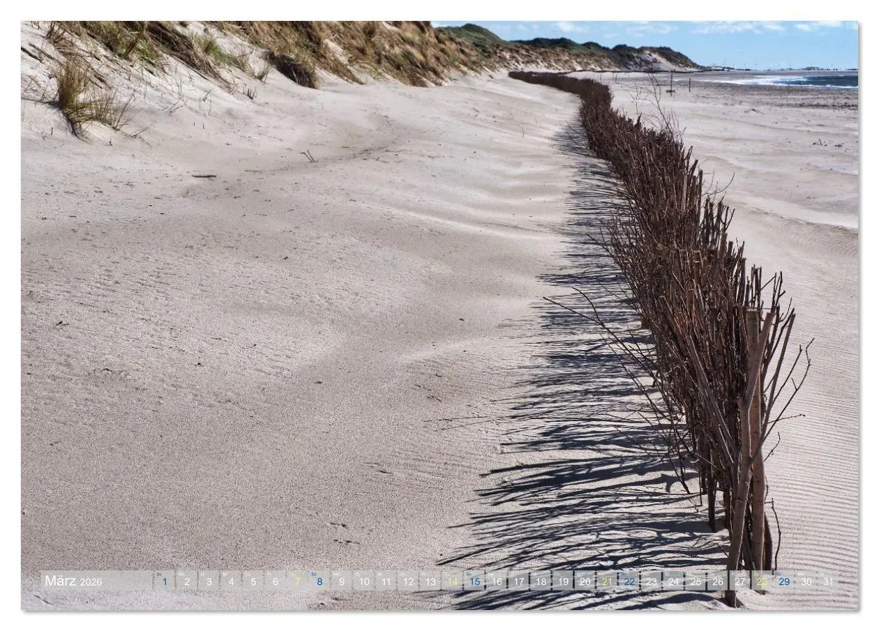 Bild: 9783516626193 | Amrum Glücksort (Tischkalender 2026 DIN A5 quer), CALVENDO...