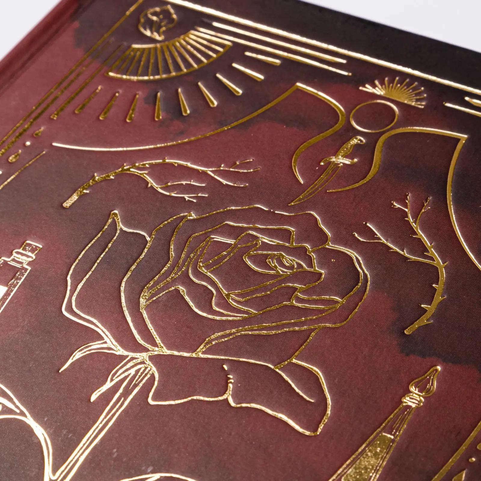 Bild: 9783551586193 | Six Scorched Roses (Crowns of Nyaxia) | Carissa Broadbent | Buch