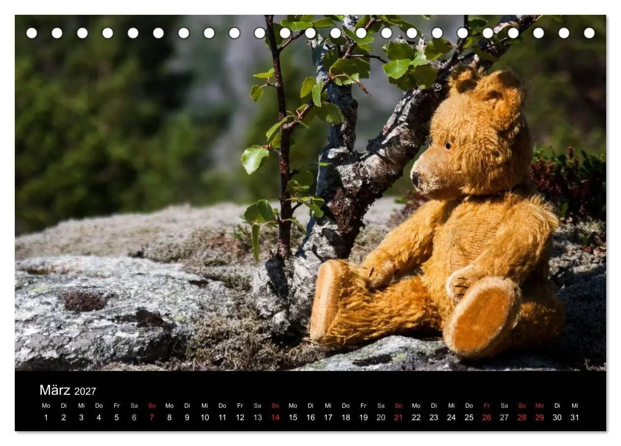 Bild: 9783594086193 | Teddy Basse, Fortsetzung... (Tischkalender 2027 DIN A5 quer),...