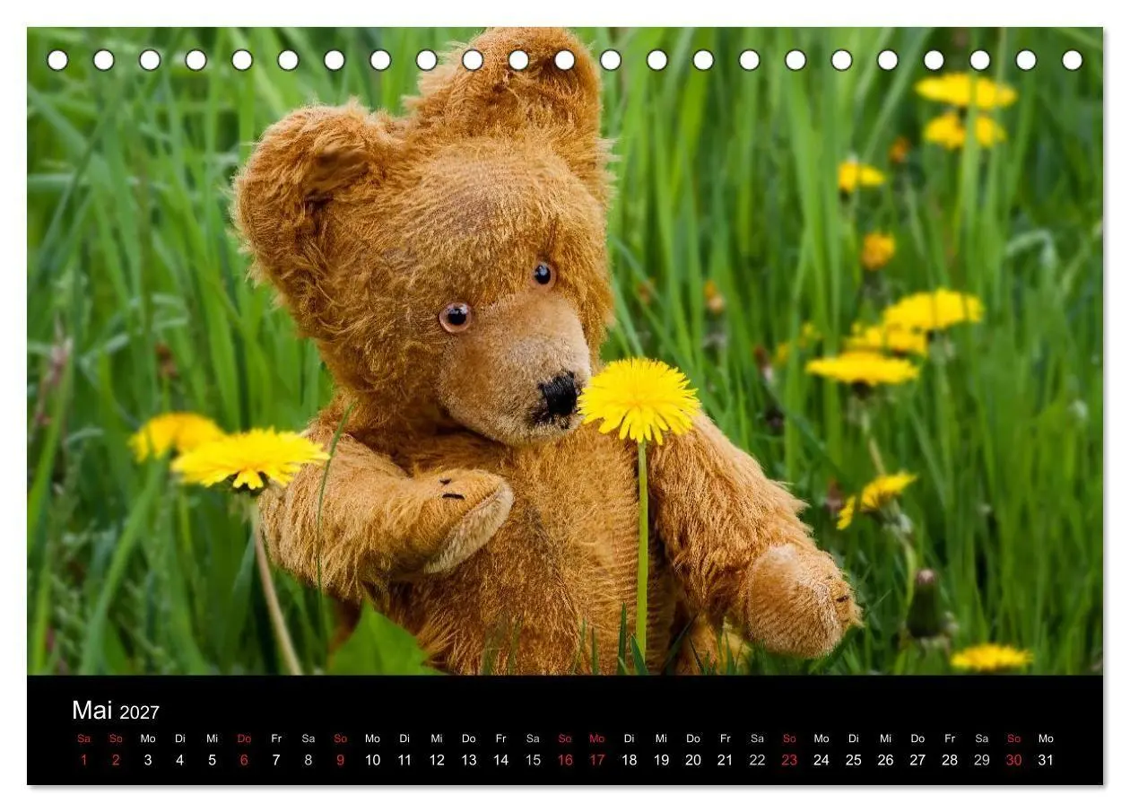 Bild: 9783594086193 | Teddy Basse, Fortsetzung... (Tischkalender 2027 DIN A5 quer),...