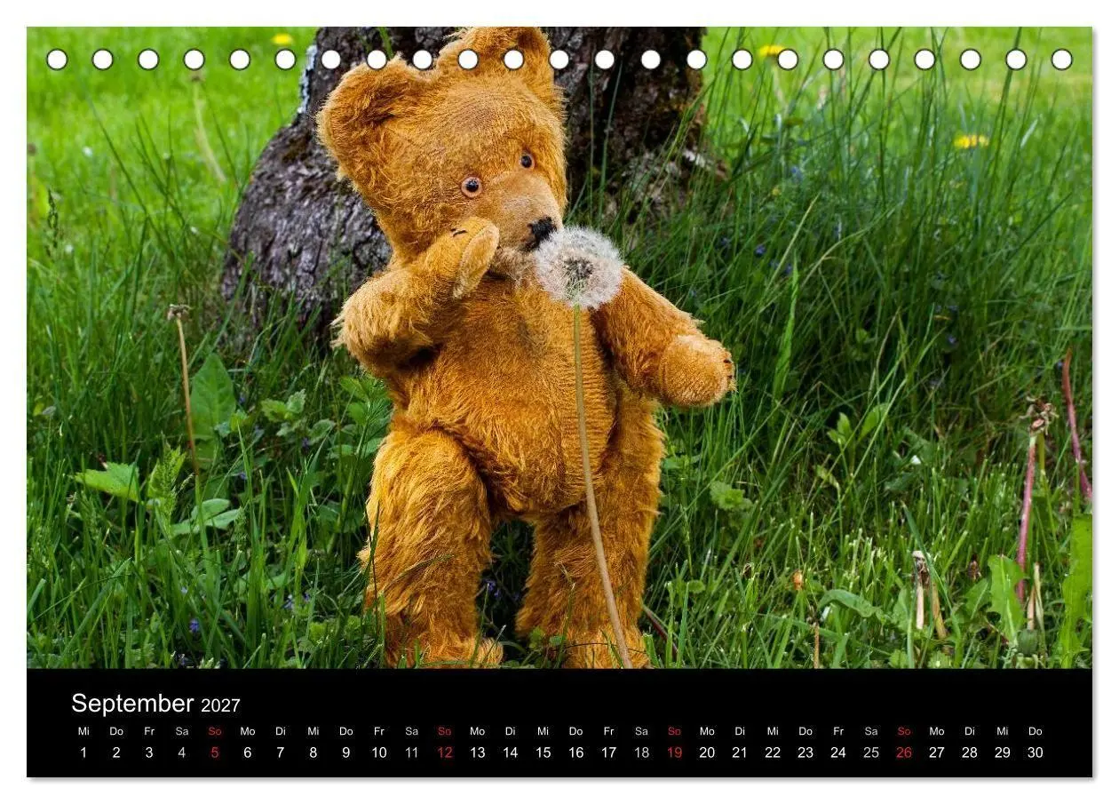 Bild: 9783594086193 | Teddy Basse, Fortsetzung... (Tischkalender 2027 DIN A5 quer),...