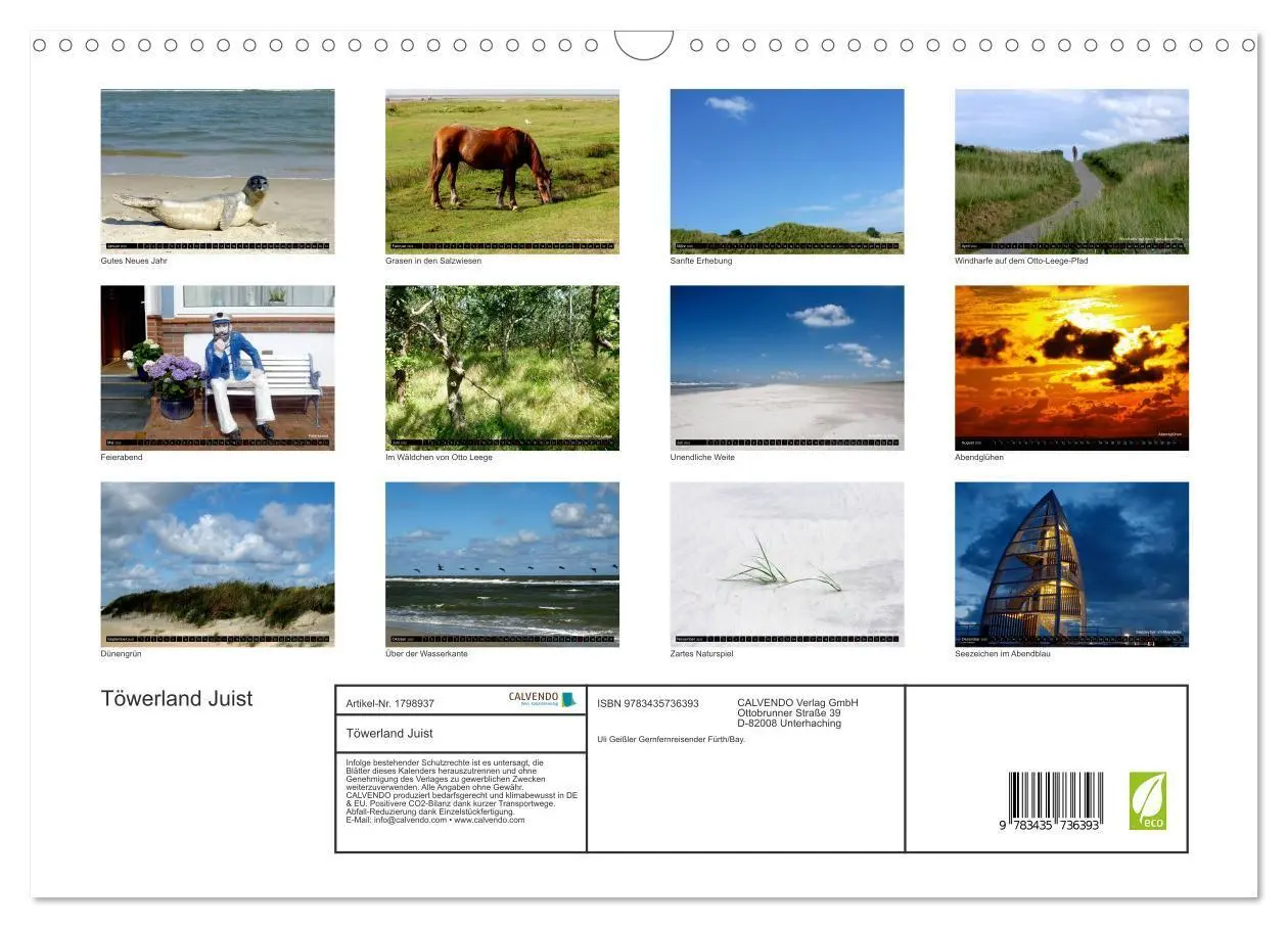 Bild: 9783435736393 | Töwerland Juist (Wandkalender 2025 DIN A3 quer), CALVENDO...