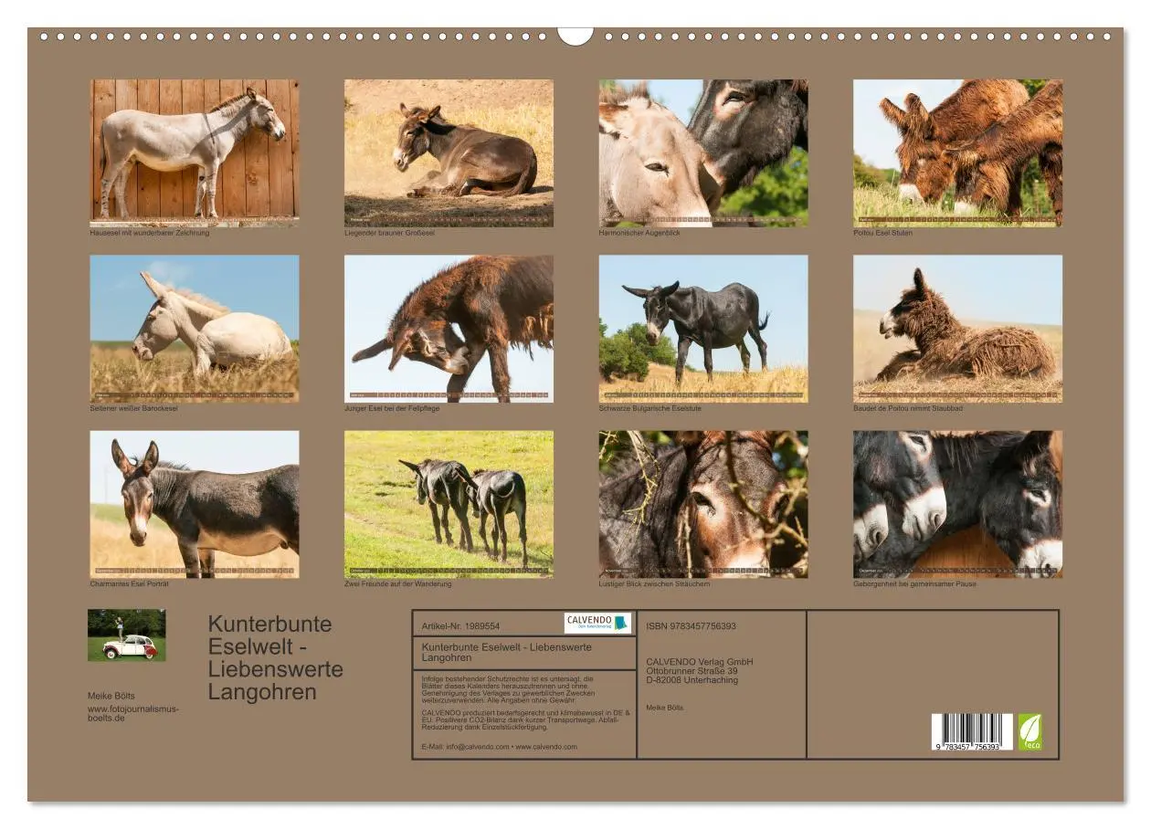 Bild: 9783457756393 | Kunterbunte Eselwelt - Liebenswerte Langohren (Wandkalender 2026...