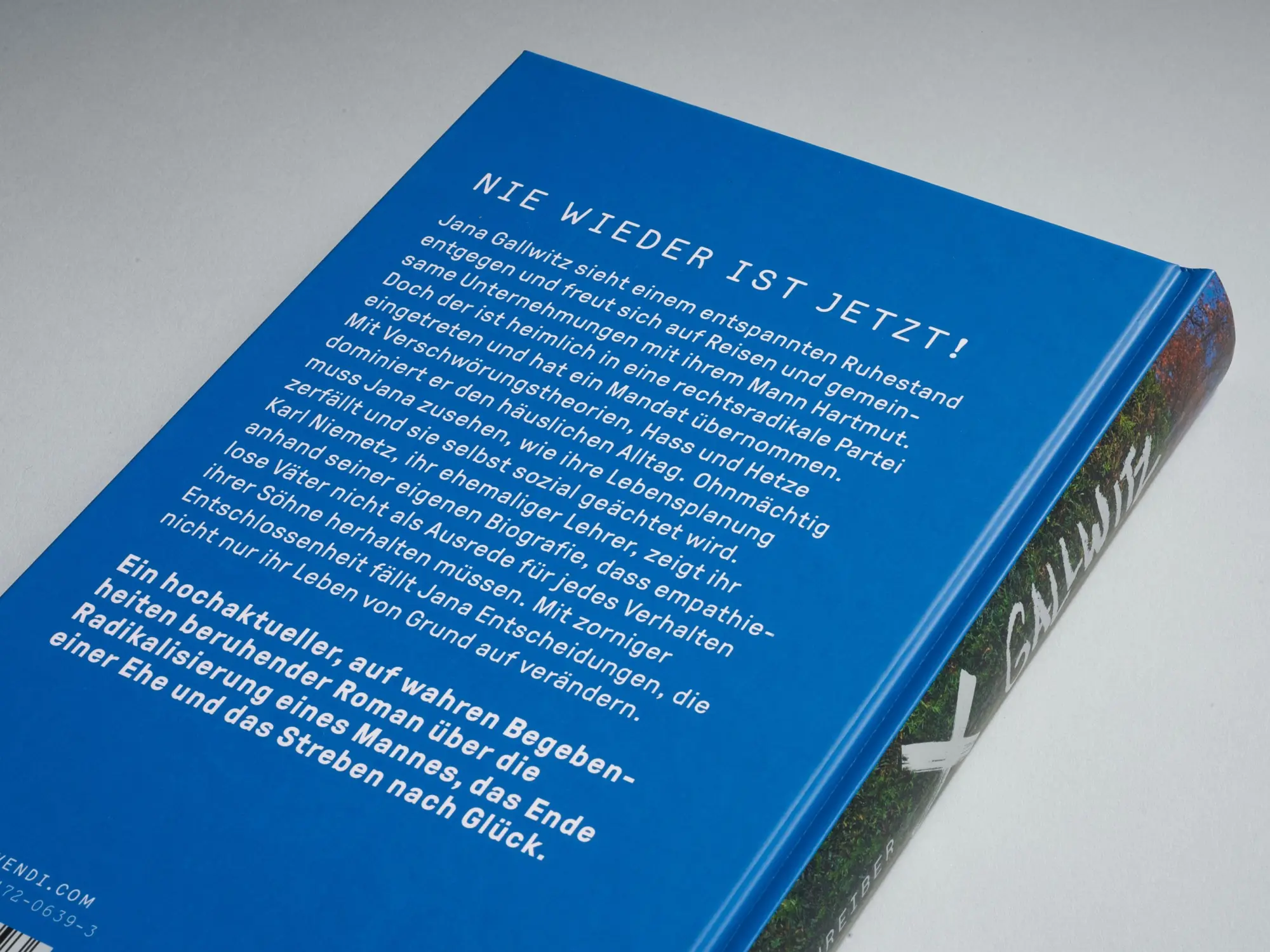 Bild: 9783747206393 | Gallwitz | Roman | Vera F. Schreiber | Buch | 256 S. | Deutsch | 2024