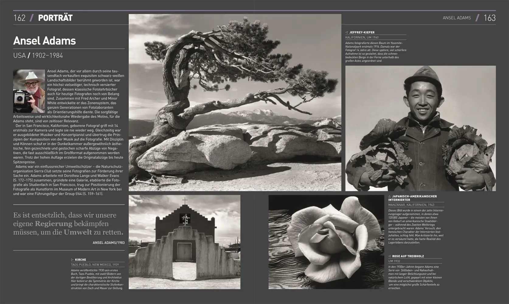 Bild: 9783831046393 | Fotografie | Tom Ang | Buch | DK Schöne Künste | 400 S. | Deutsch