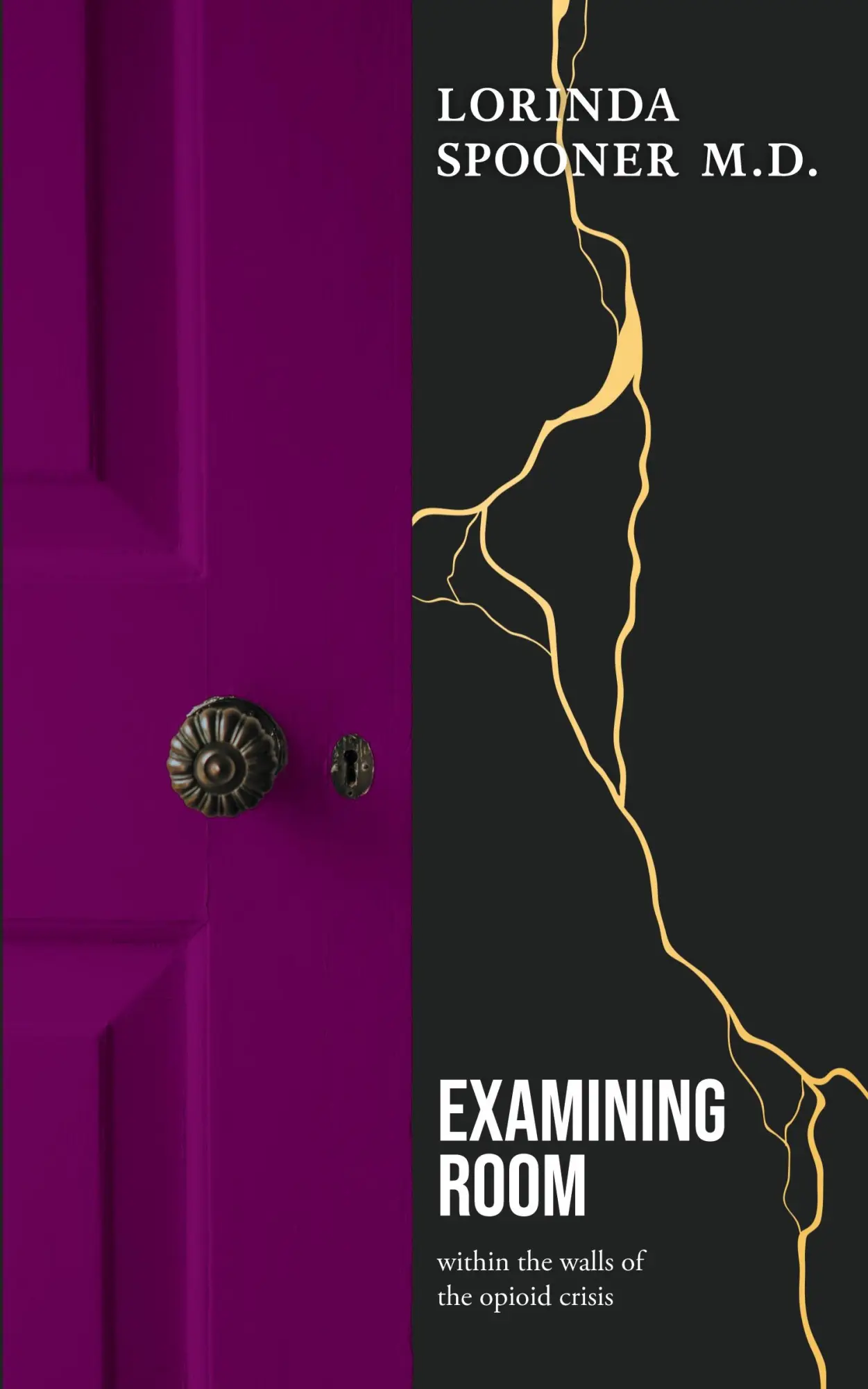 Cover: 9781038316493 | Examining Room | within the walls of the opioid crisis | Spooner