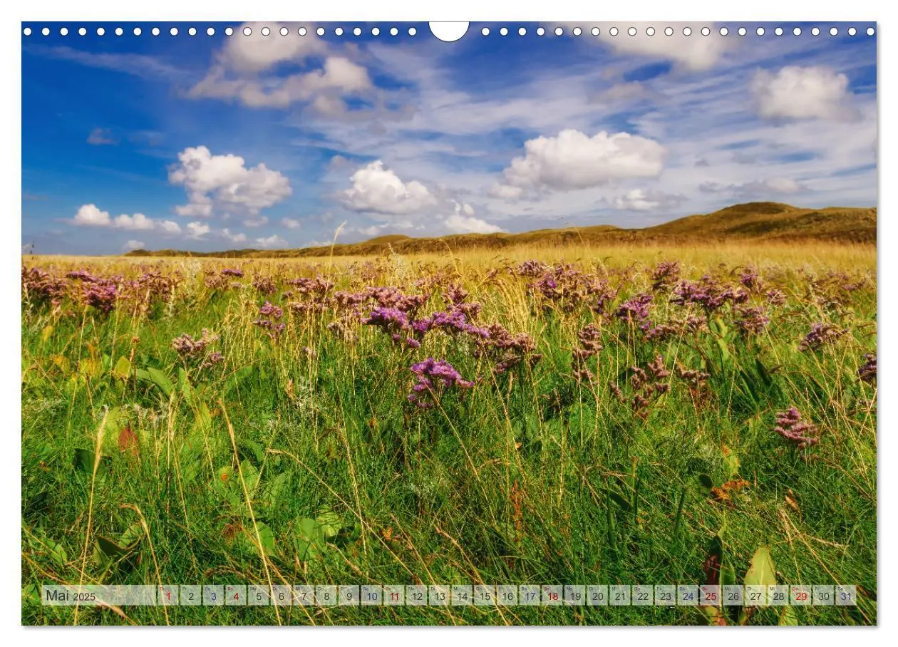 Bild: 9783435106493 | Texel - Kleine Insel, große Vielfalt (Wandkalender 2025 DIN A3...