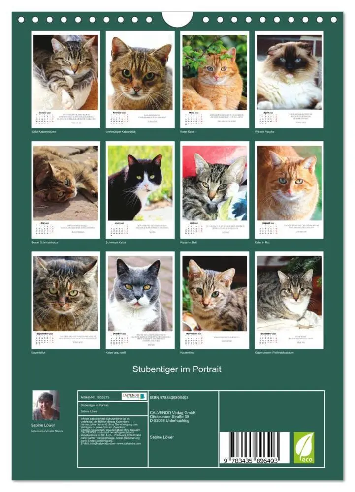Bild: 9783435896493 | Stubentiger im Portrait (Wandkalender 2025 DIN A4 hoch), CALVENDO...