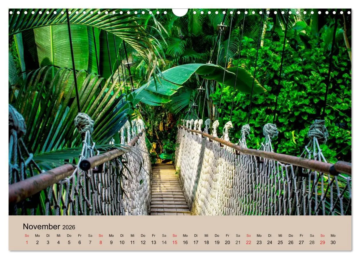 Bild: 9783516146493 | Brasilien. Impressionen (Wandkalender 2026 DIN A3 quer), CALVENDO...