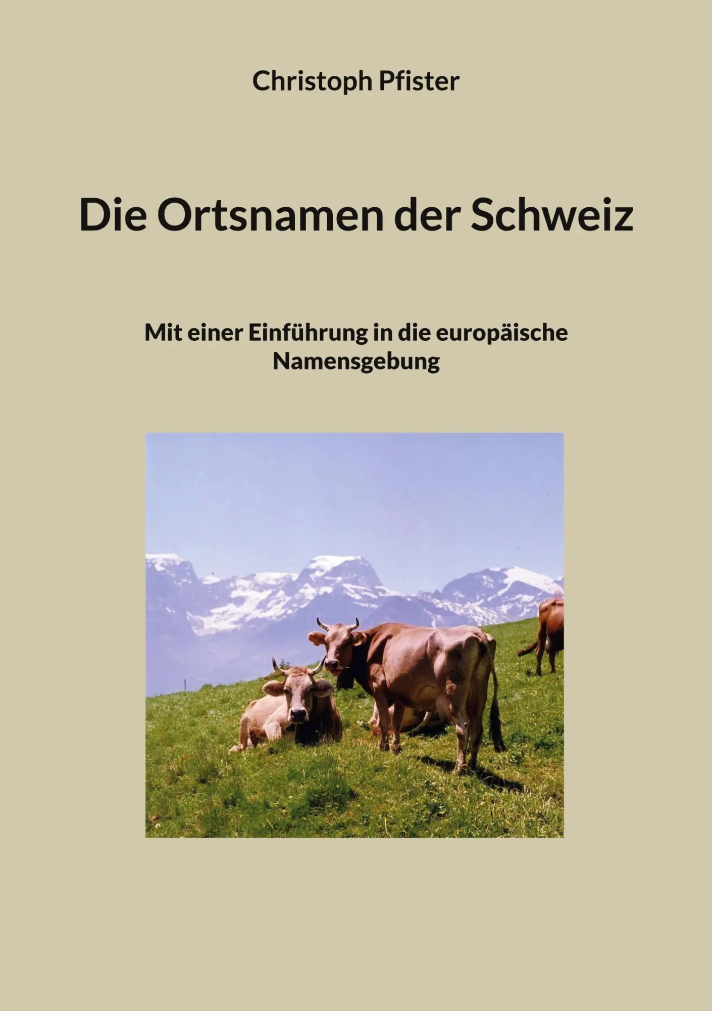 Cover: 9783759796493 | Die Ortsnamen der Schweiz | Christoph Pfister | Taschenbuch | 340 S.