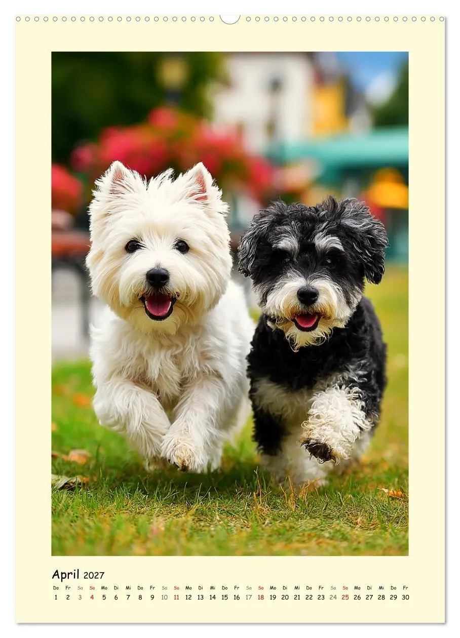 Bild: 9783516756593 | Süßer Wuschelkopf. West Highland White Terrier Momente...