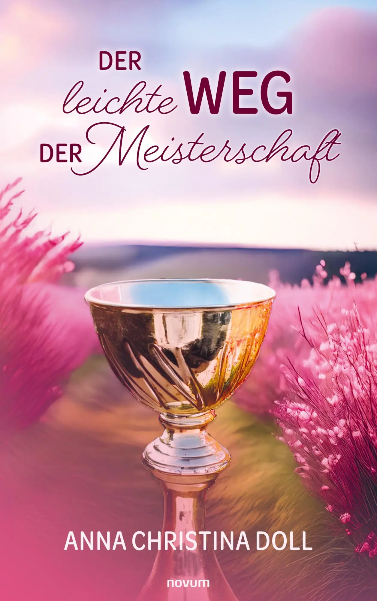 Cover: 9783711606693 | Der leichte Weg der Meisterschaft | Anna Christina Doll | Taschenbuch