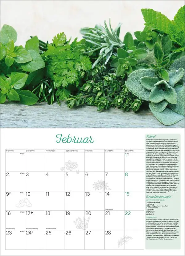 Bild: 9783731886693 | Kräuter und Gewürze 2026 | Verlag Korsch | Kalender | 13 S. | Deutsch