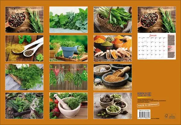 Bild: 9783731886693 | Kräuter und Gewürze 2026 | Verlag Korsch | Kalender | 13 S. | Deutsch