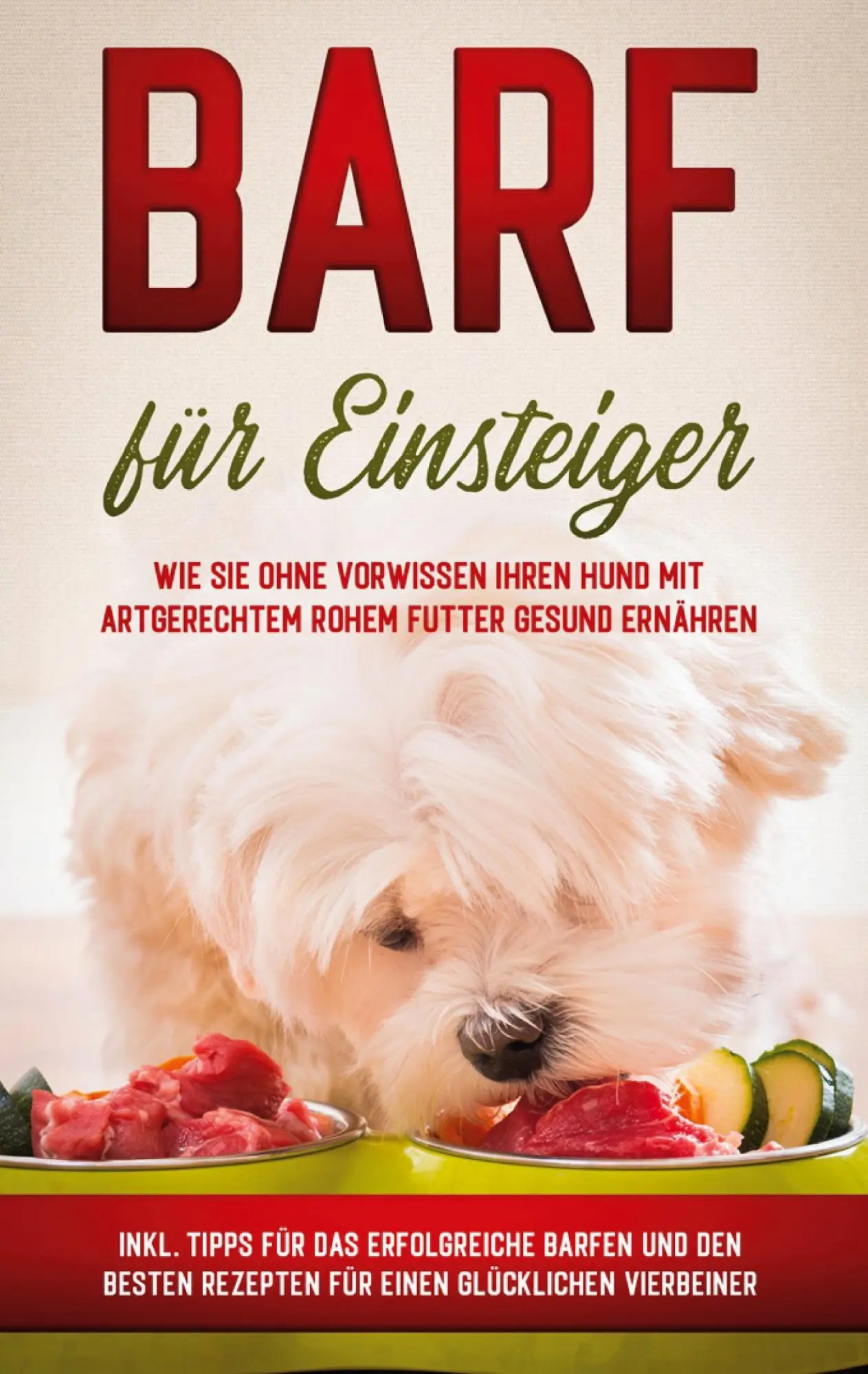 Cover: 9783751996693 | BARF für Einsteiger | Sebastian Groenewold | Taschenbuch | 84 S.