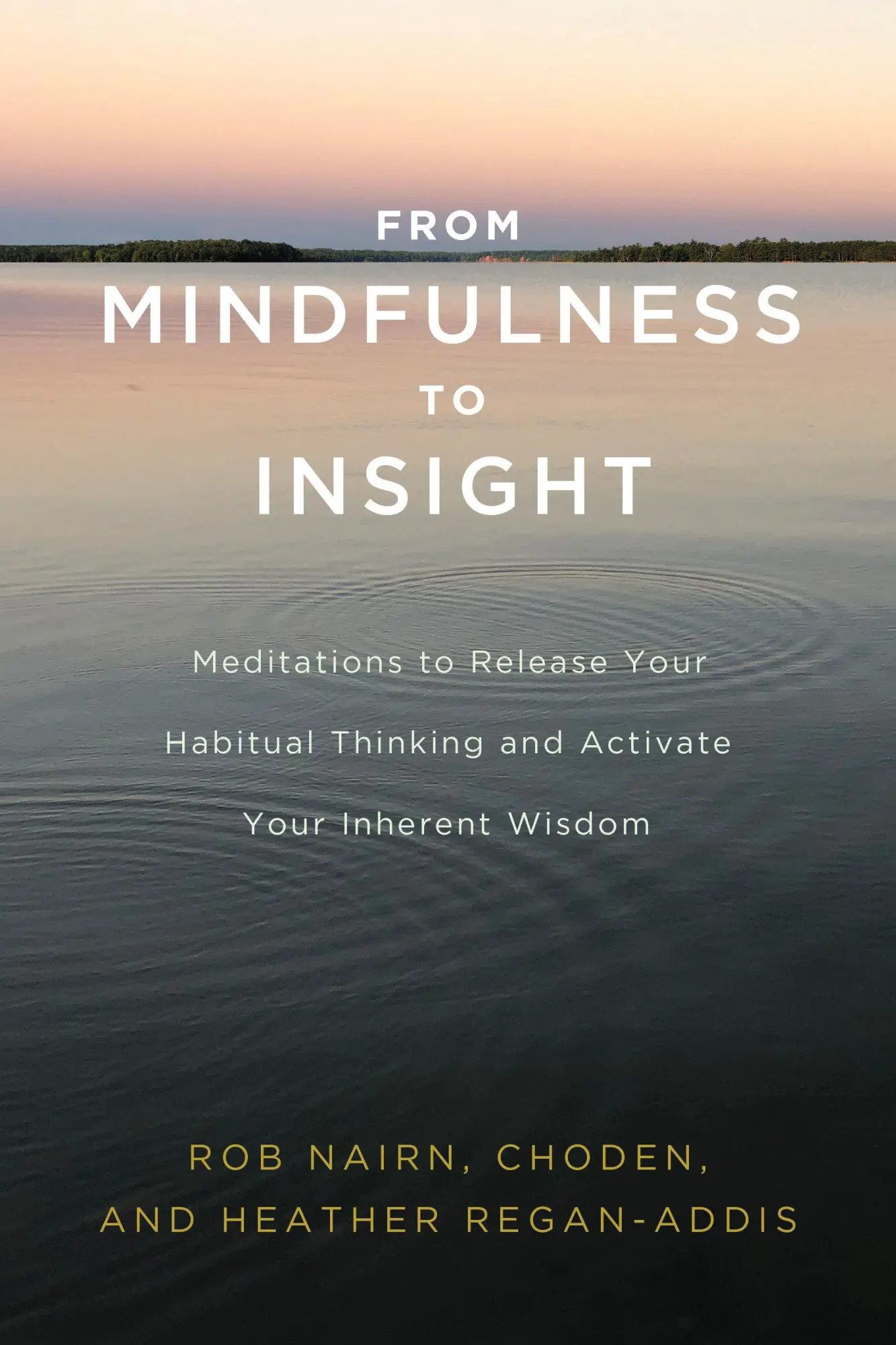 Cover: 9781611806793 | From Mindfulness to Insight: Meditations to Release Your Habitual...