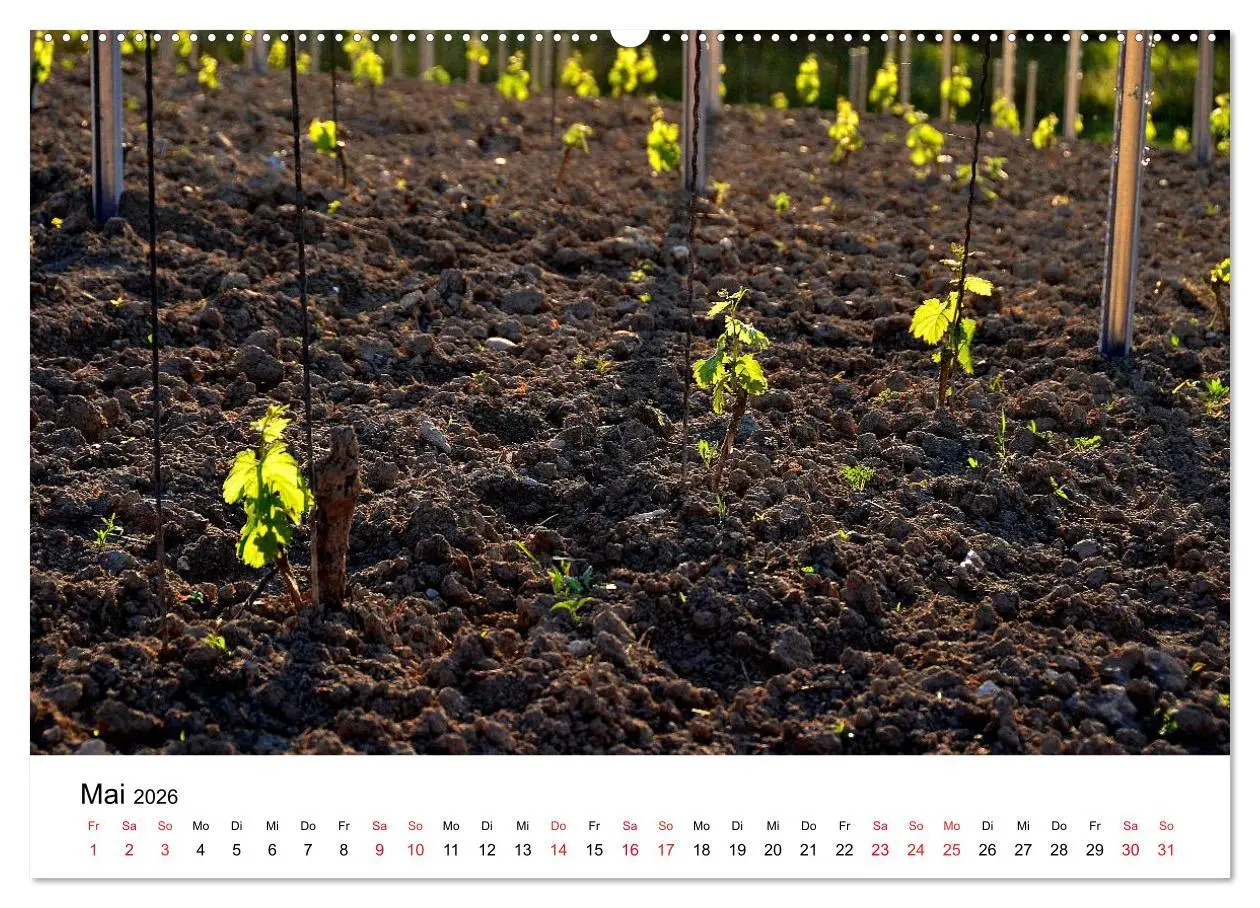 Bild: 9783516046793 | Impressionen vom Kaiserstuhl (Wandkalender 2026 DIN A2 quer),...