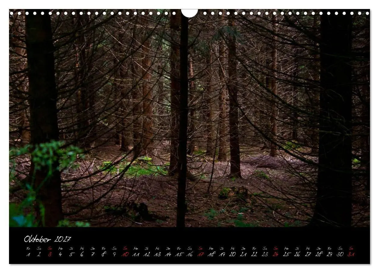 Bild: 9783594196793 | Wald (Wandkalender 2027 DIN A3 quer), CALVENDO Monatskalender | Gruse