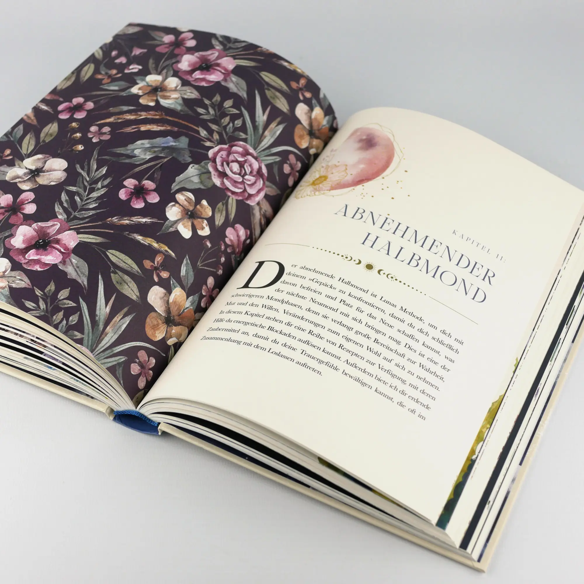Bild: 9783747406793 | Die Mond-Apotheke | Lorriane Anderson | Buch | 304 S. | Deutsch | 2025