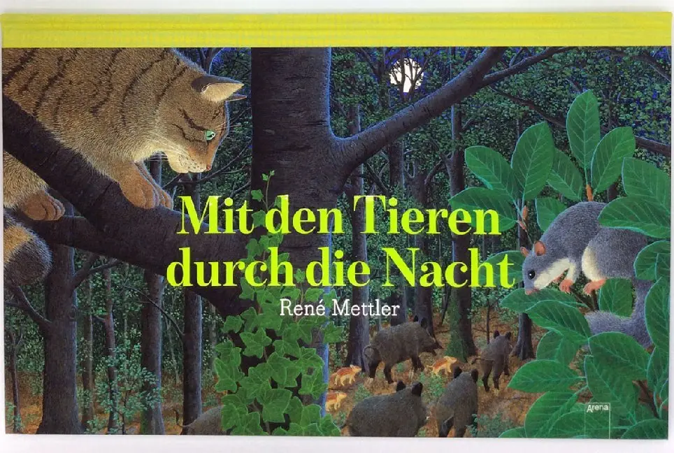 Bild: 9783401716893 | Mit den Tieren durch die Nacht | René Mettler | Buch | 48 S. | Deutsch