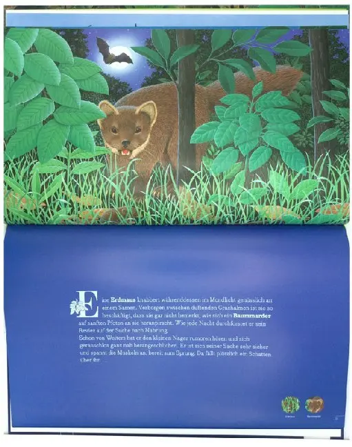 Bild: 9783401716893 | Mit den Tieren durch die Nacht | René Mettler | Buch | 48 S. | Deutsch