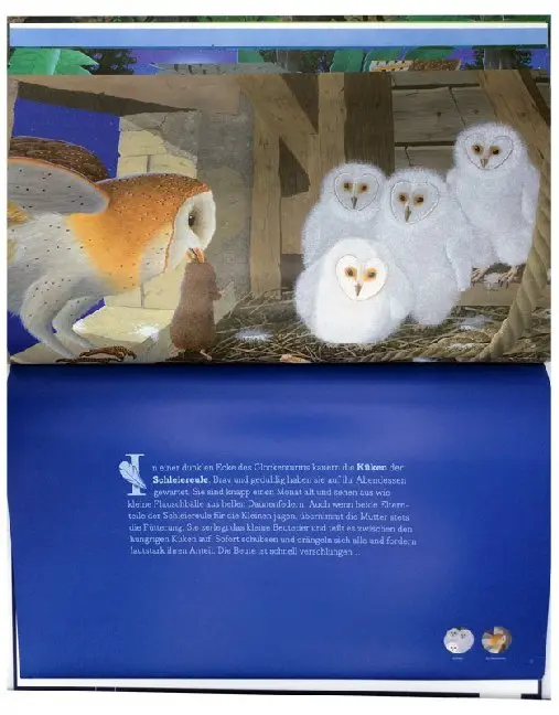 Bild: 9783401716893 | Mit den Tieren durch die Nacht | René Mettler | Buch | 48 S. | Deutsch